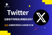 Twitter/推特注册收不到短信/邮箱验证码？全面解析原因及6大高效解决方案